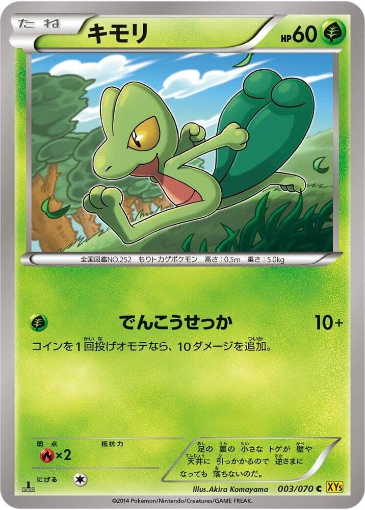 Treecko 003/70