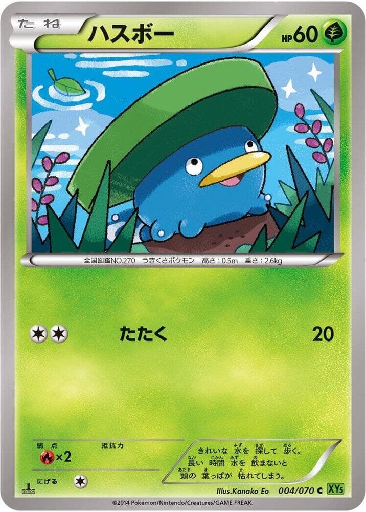 Lotad 004/70