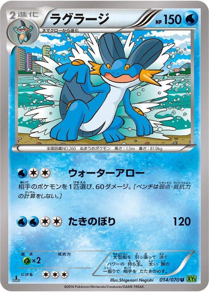 Swampert 014/70