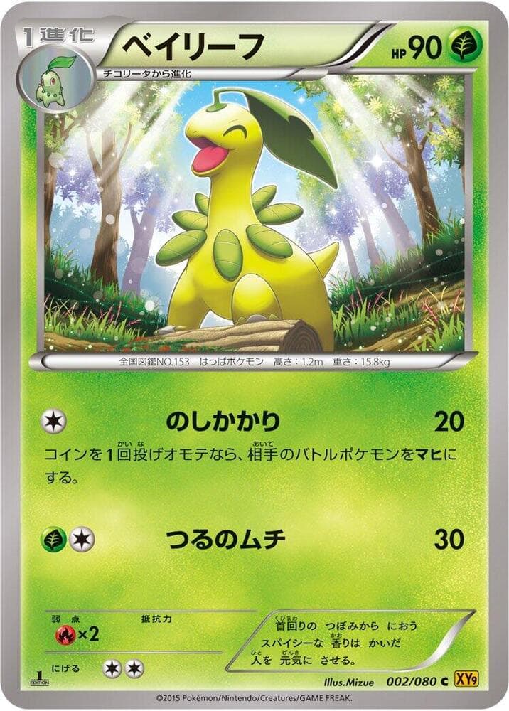 Bayleef 002/80
