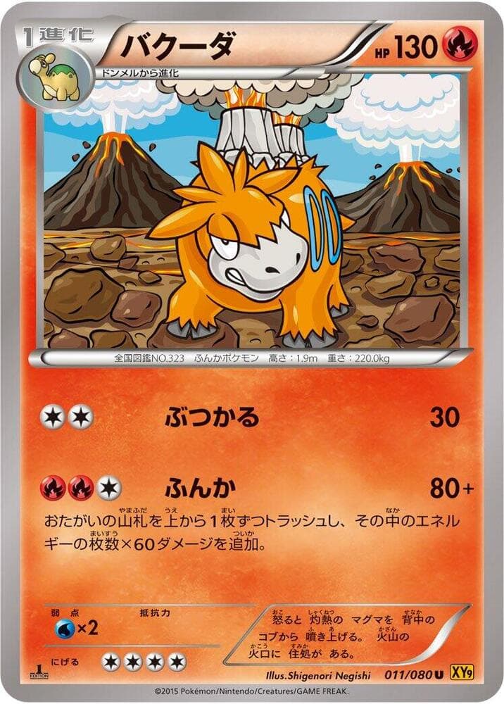 Camerupt 011/80