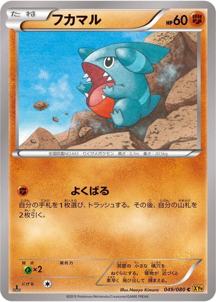 Gible 049/80