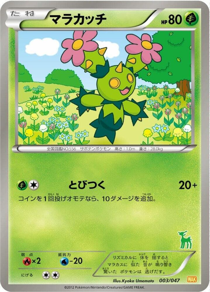 Maractus 003/47