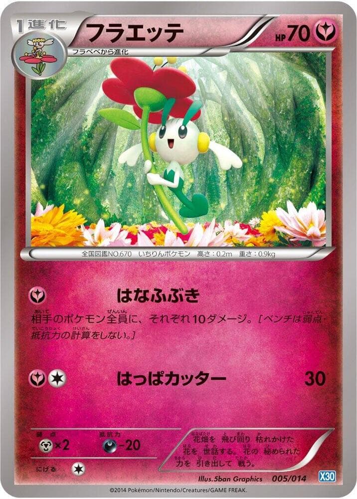 Floette 005/14