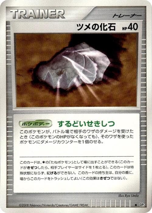 Claw Fossil