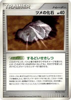Claw Fossil