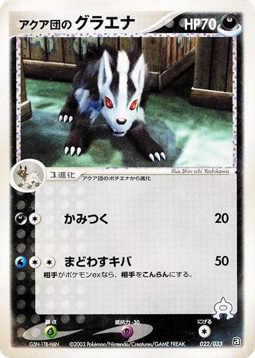 Team Aqua's Mightyena 022/33