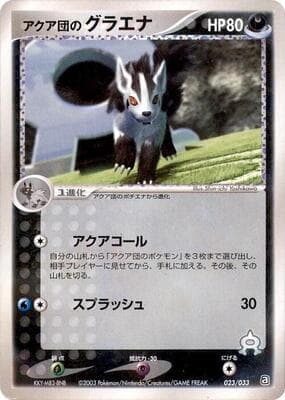 Team Aqua's Mightyena