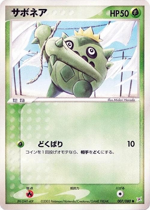 Cacnea 007/80