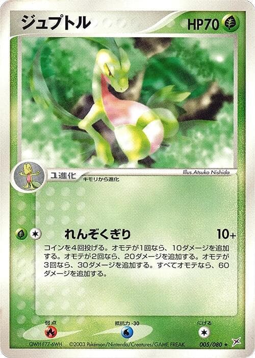 Grovyle 005/80