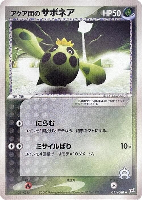Team Aqua's Cacnea 011/80