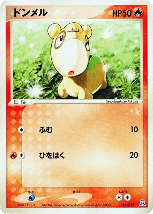 Numel 016/19