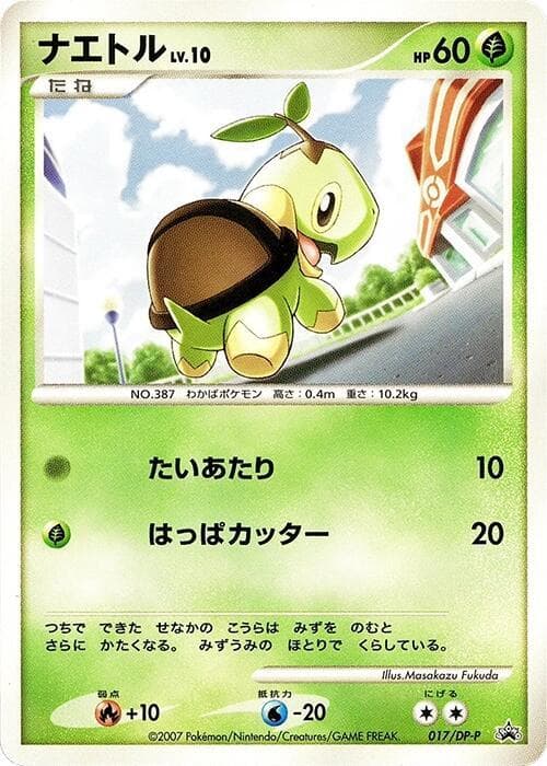 Turtwig 017