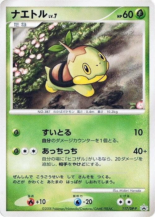 Turtwig 117