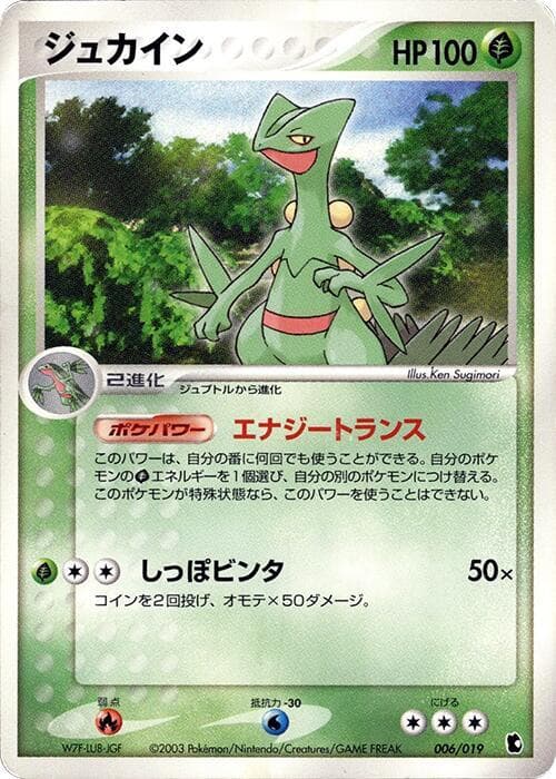 Sceptile 006/19