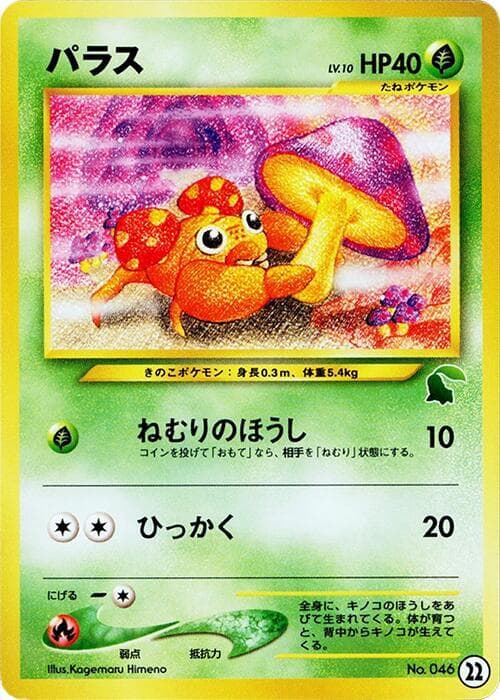 Paras 22