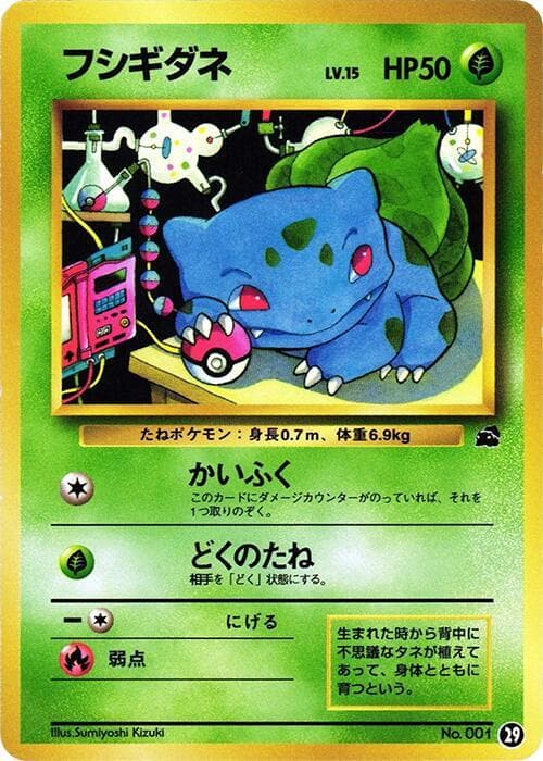 Bulbasaur 29