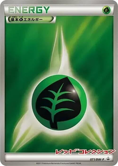 Basic Grass Energy 071