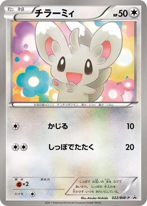 Minccino 022