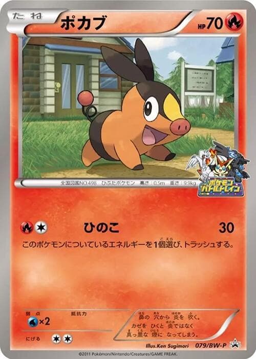 Tepig 079